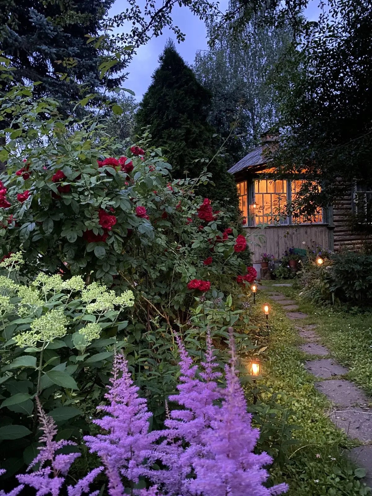 Доброй ночи💚❤️
