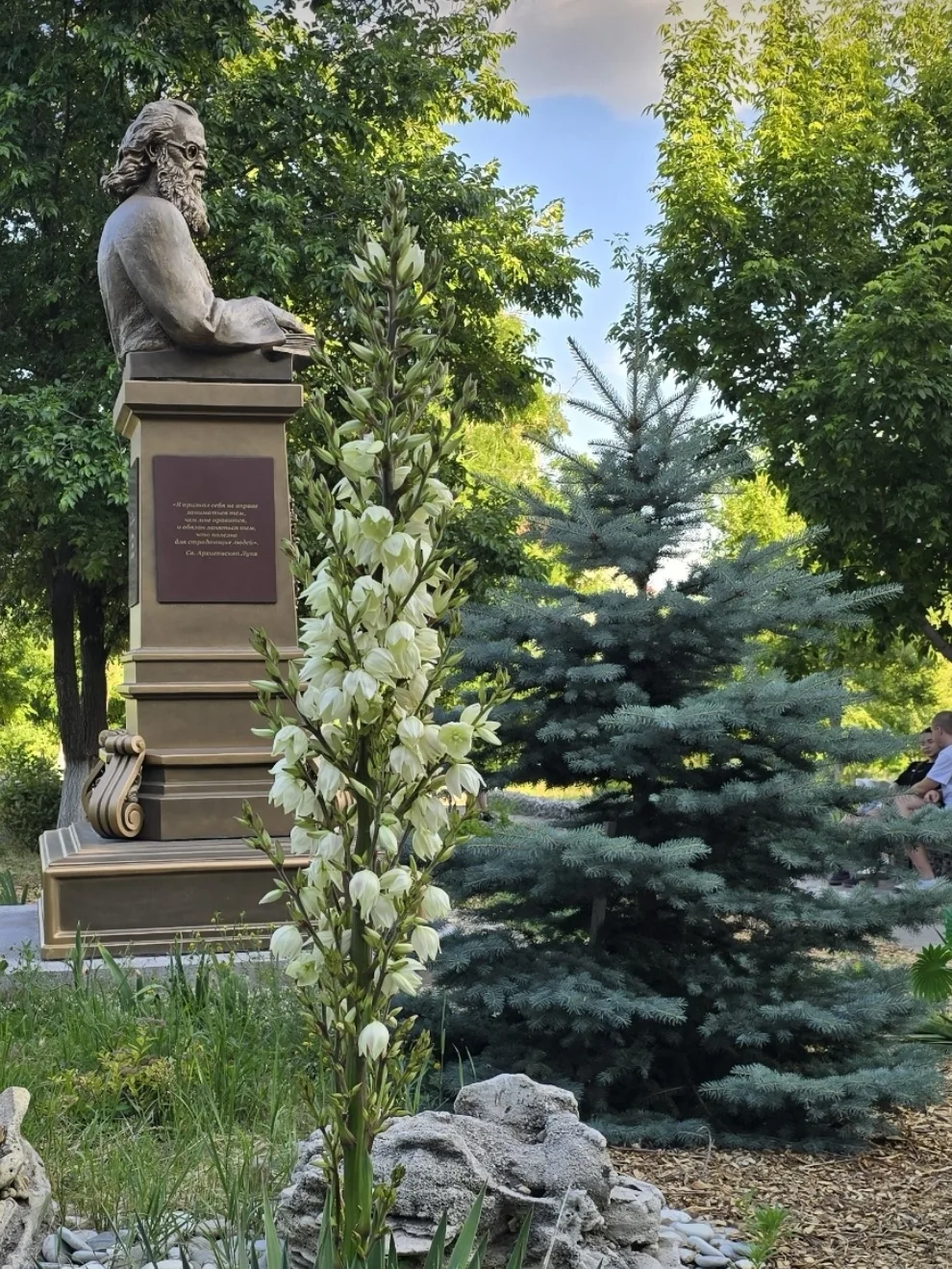 Сегодня, 11 июня, отмечается День памяти святителя Луки (Войно-Ясенецкого), архиепископ...