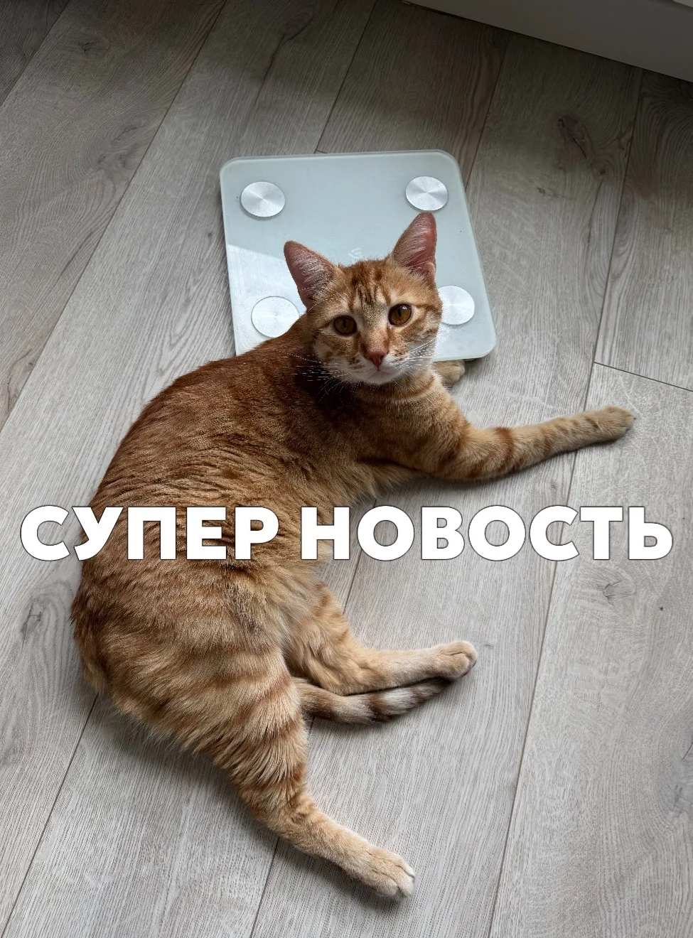 Девочки, все сюда!!!
