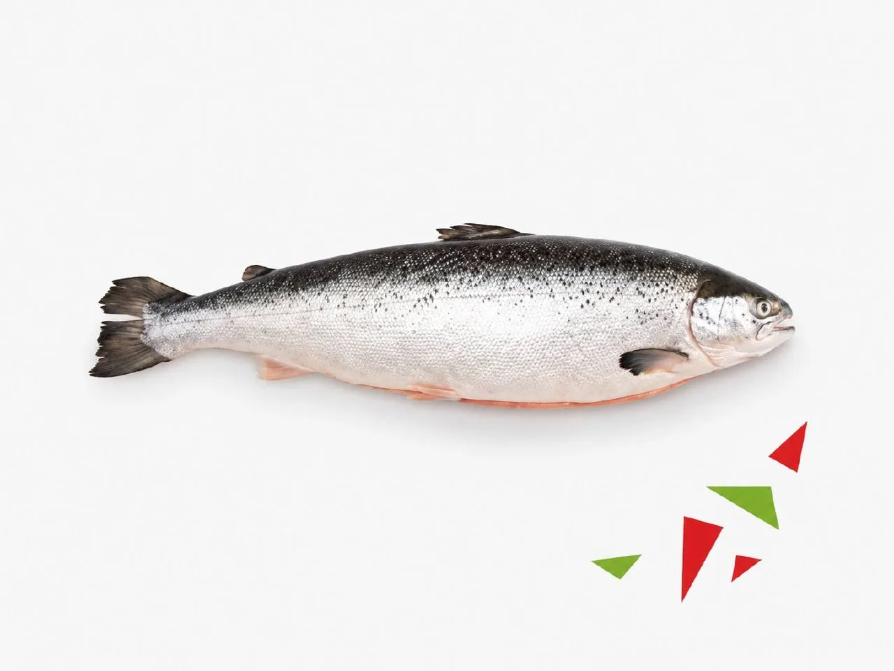 🐟 В нашей поставке — атлантический лосось, а точнее сёмга

Многие привыкли к слову «сёмга» и думают