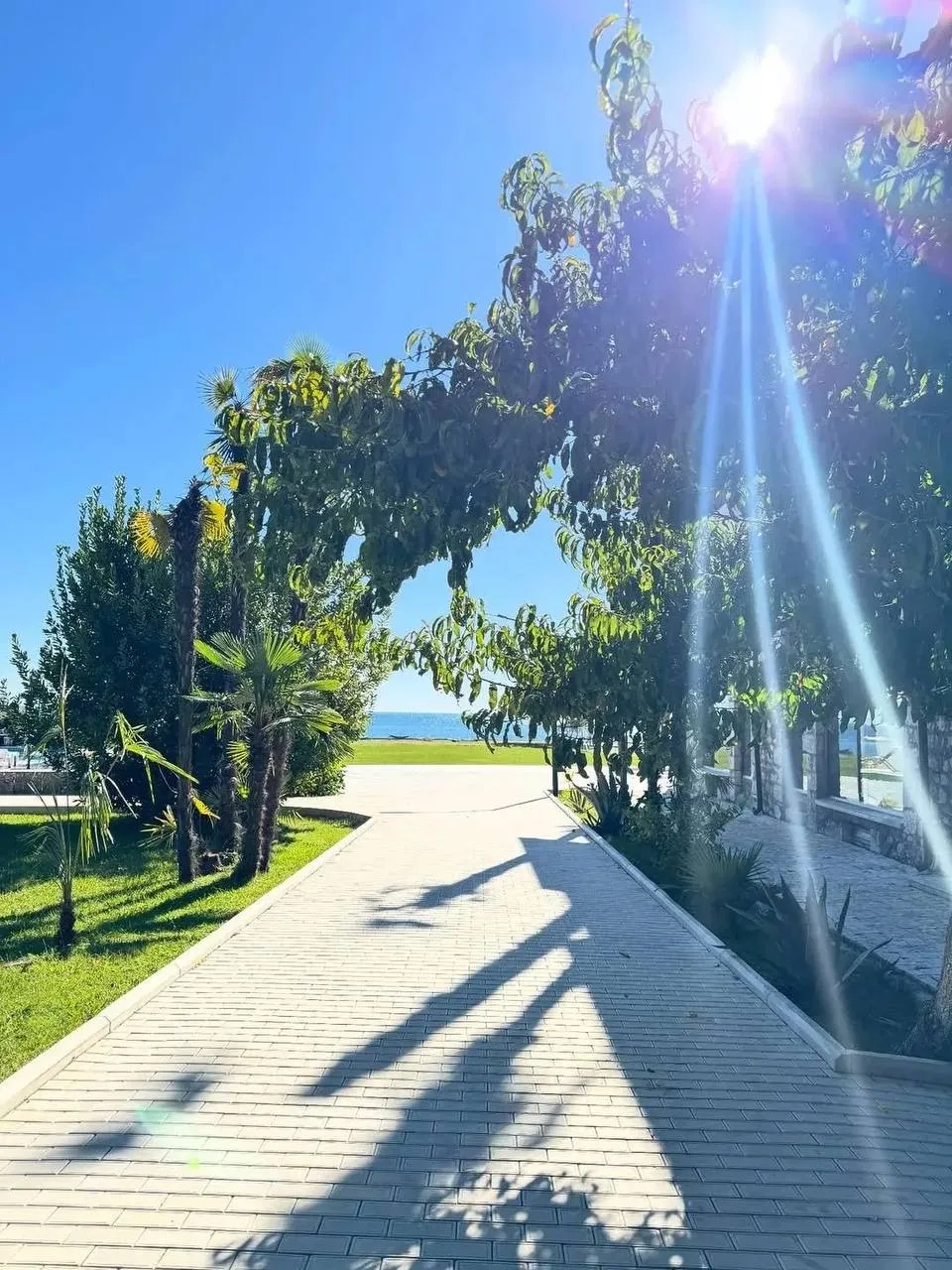 АБХАЗИЯ С АТМОСФЕРОЙ ИТАЛИИ🌿🌊