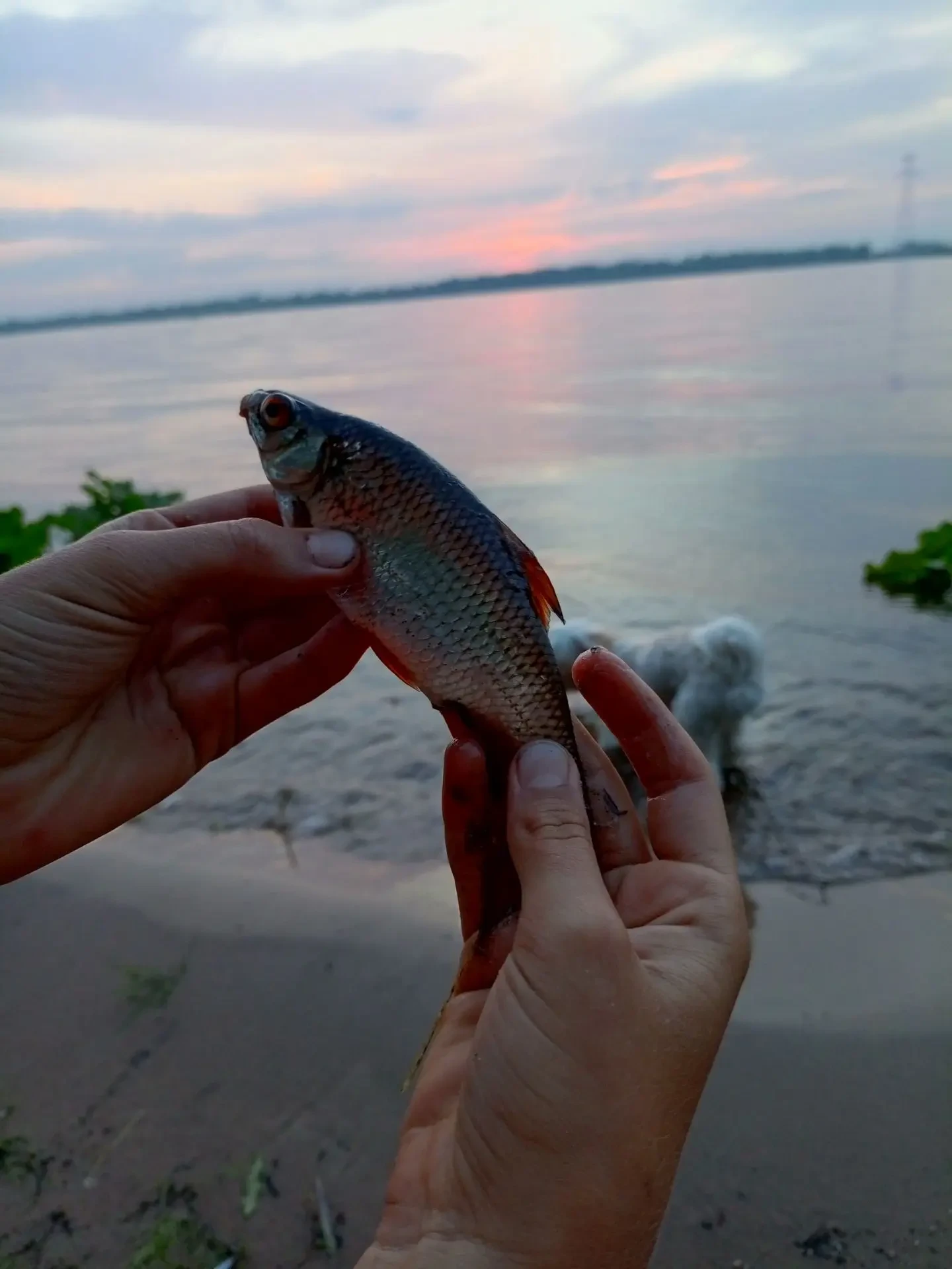 Изображение 9 к публикации «Рыбалка | Клёвое место 🎣»