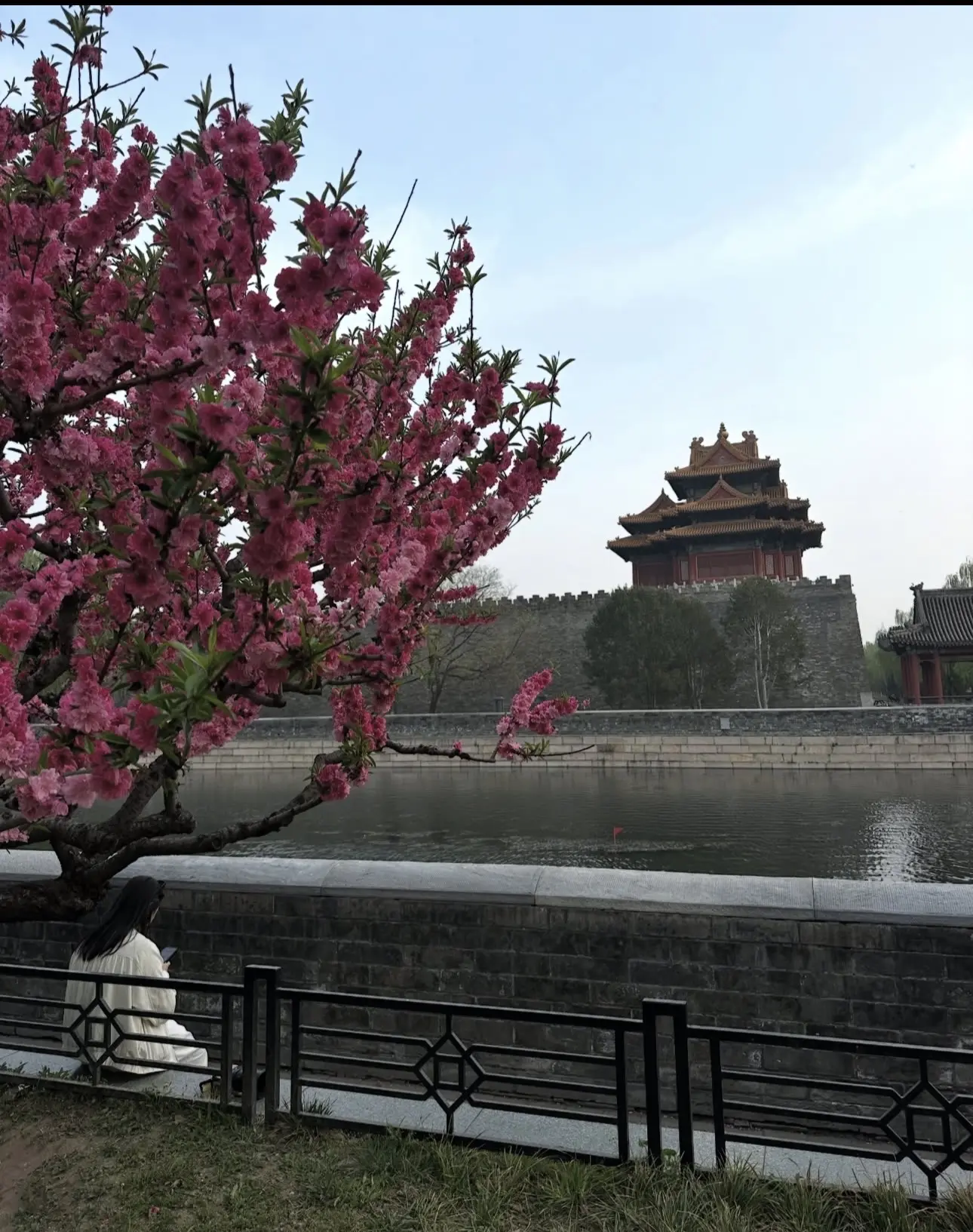 Китай, Пекин 🇨🇳