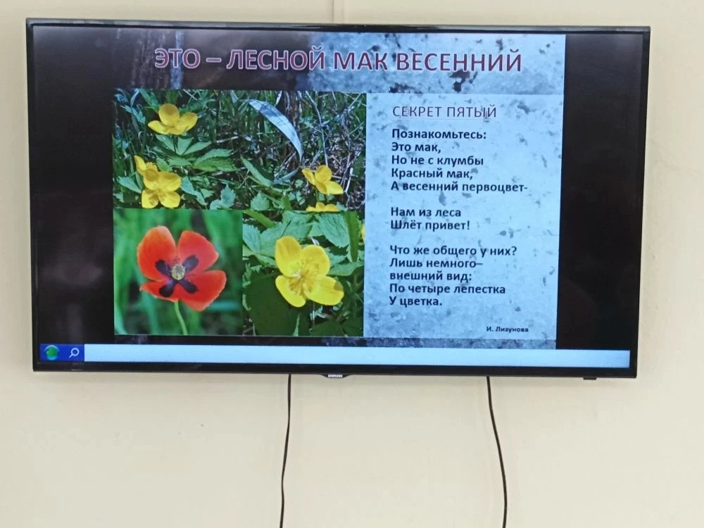 «Сбережем первоцветы» В нашем образовательном центре прошёл музейный урок «Сбережем первоцветы», цел
