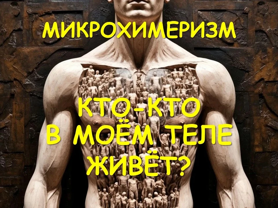 Похоже, мы носим в себе маму и многих других родственников в куда более буквальном смыс...