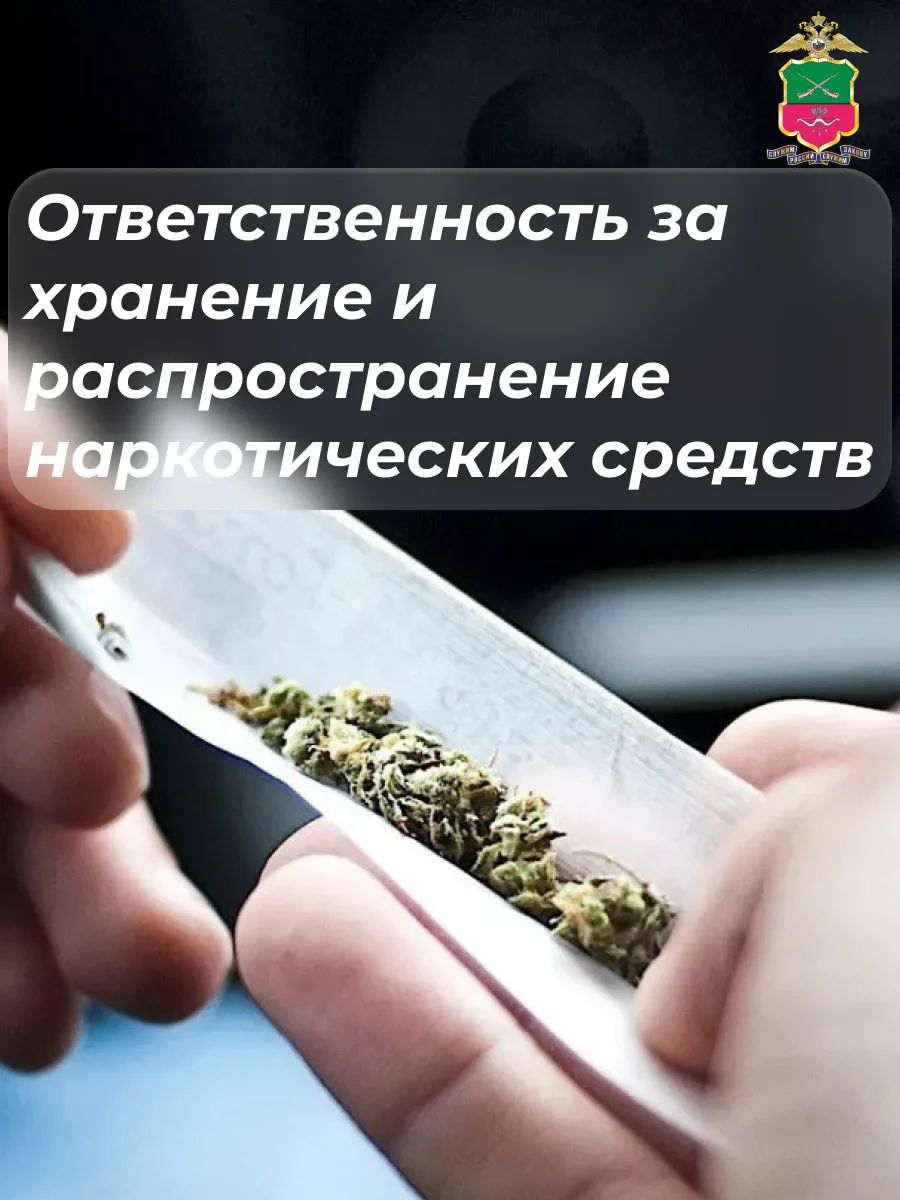 Ответственность за хранение и распространение наркотических средств

Незаконный оборот наркотических
