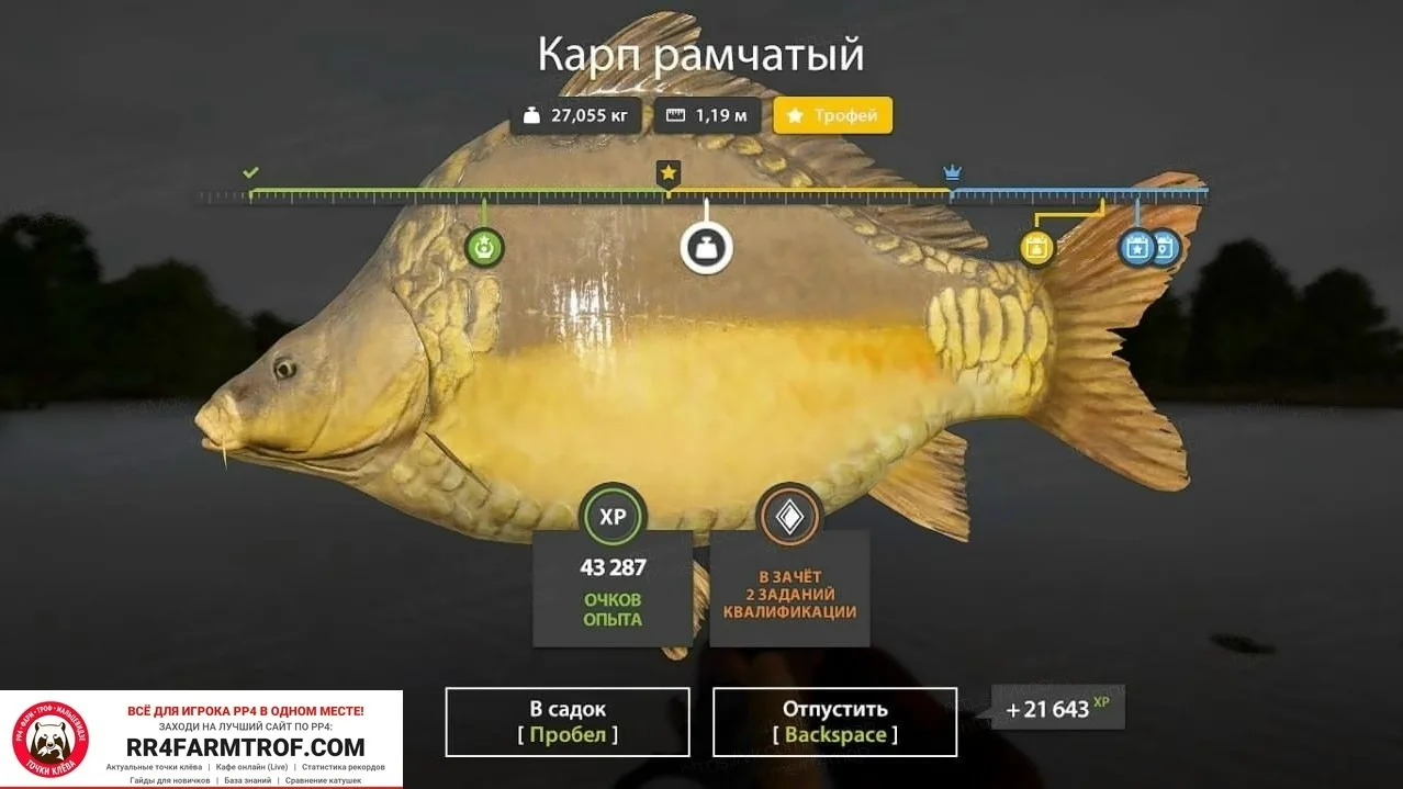 #янтарное@pp4farmtrof