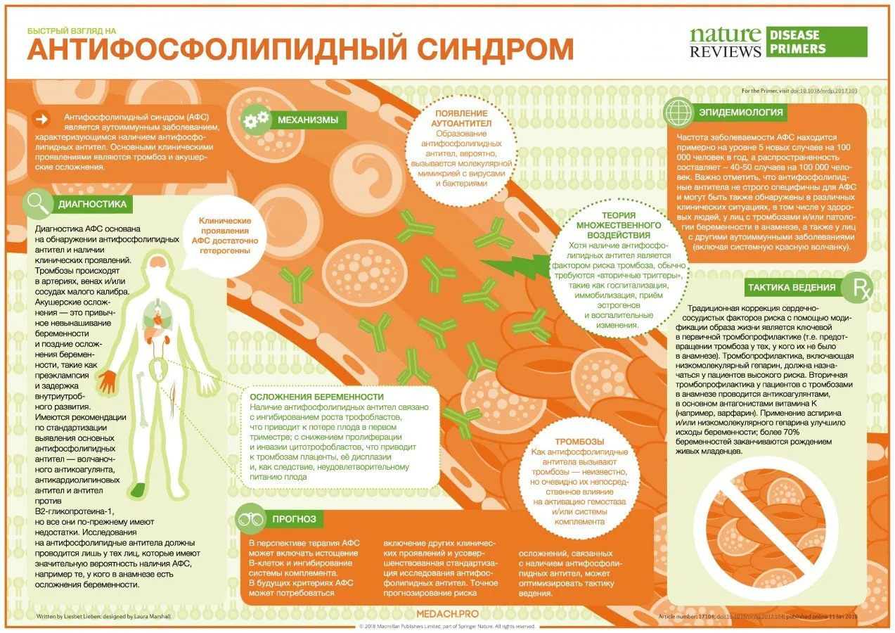 Антифосфолипидный синдром