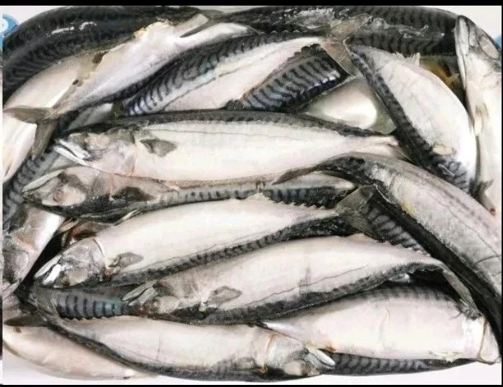 Почему скумбрия — королева доступной пользы? 👑🐟

Многие незаслуженно обходят скумбрию стороной, сч