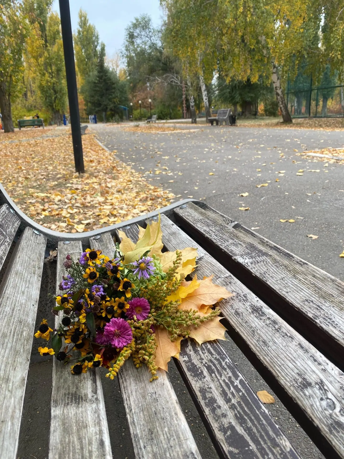 ЖИВАЯ ПРИРОДА