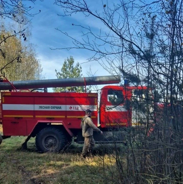 🔥Три лесных пожара за минувшую неделю произошло в Подмосковье, сообщает Комитет лесного хозяйства М