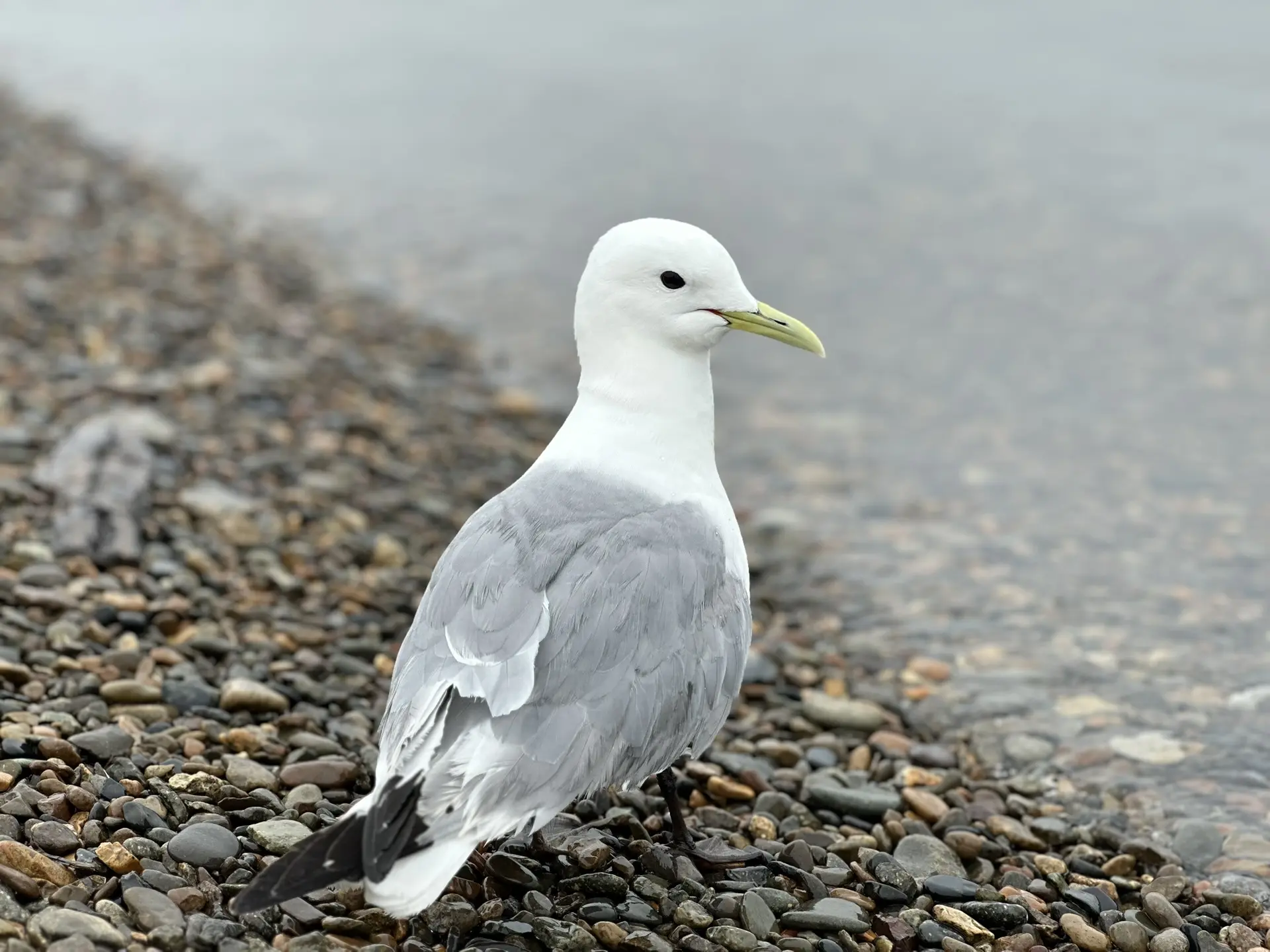 Стань участником окружного конкурса рисунков «Моё Приохотье»! 🎨
