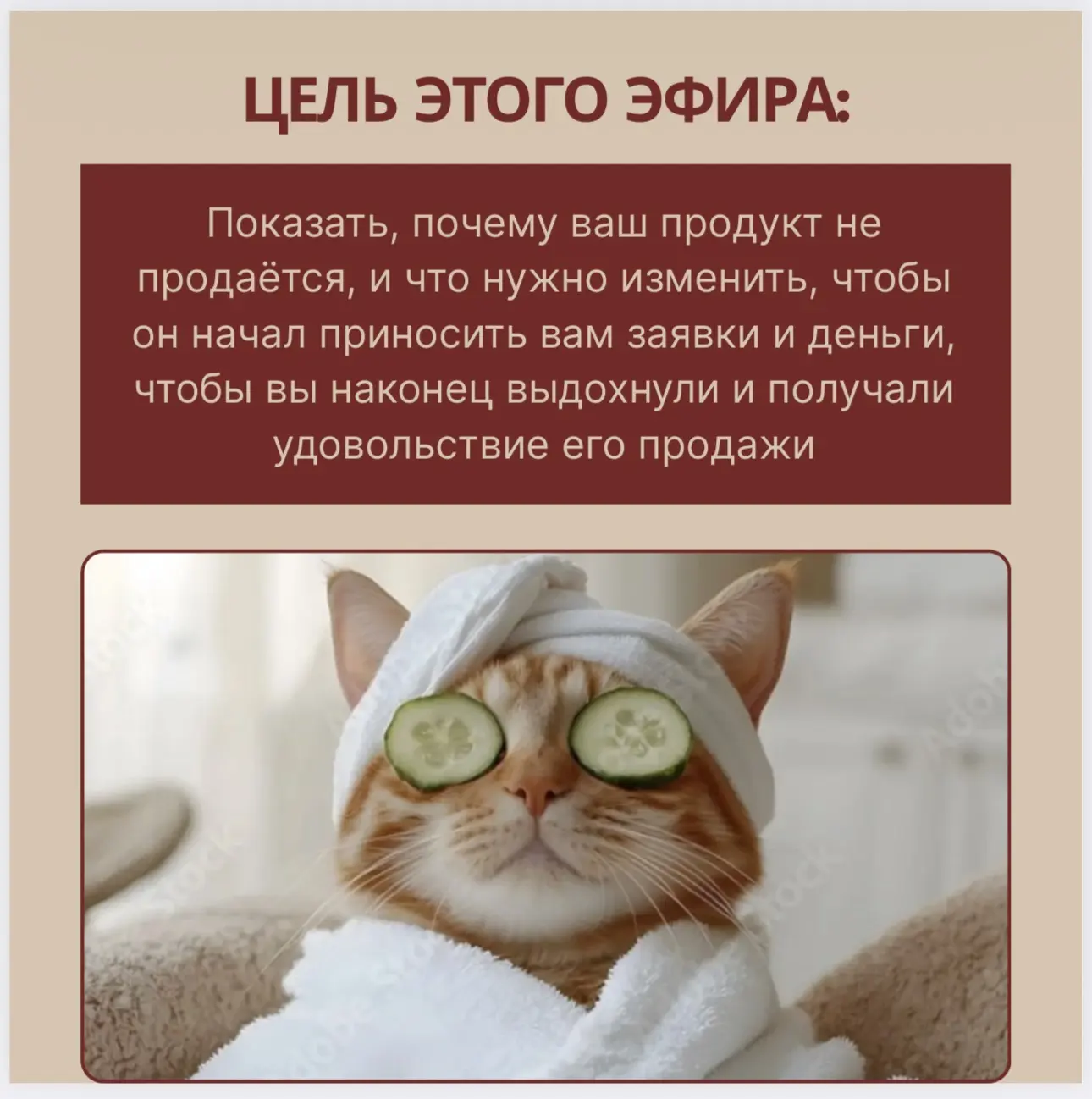 Начала разбор, почему ваш продукт не продаётся, и что нужно изменить, чтобы он начал приносить вам з