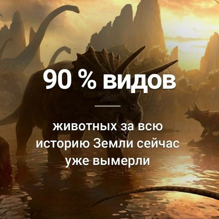 Признавайтесь, знали?