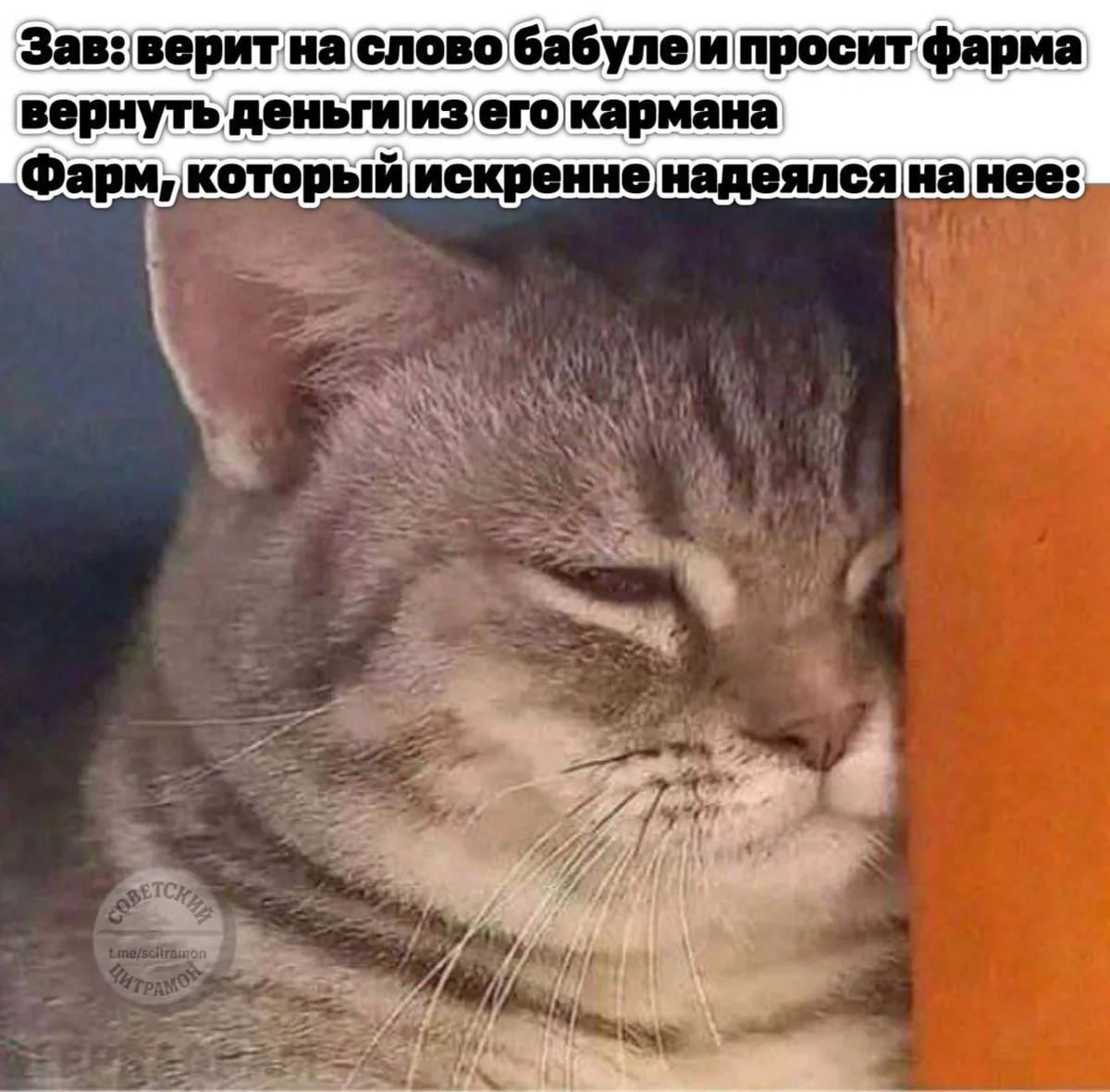 Цитрамон. Подписаться