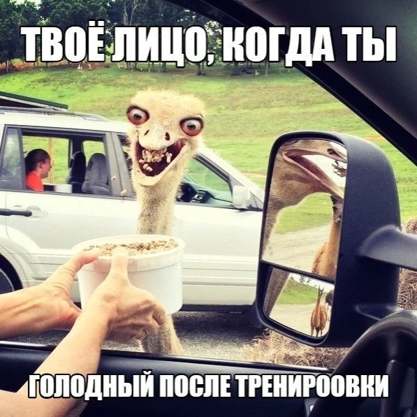 Со спортом по жизни

✅ Спорт - Подпишись