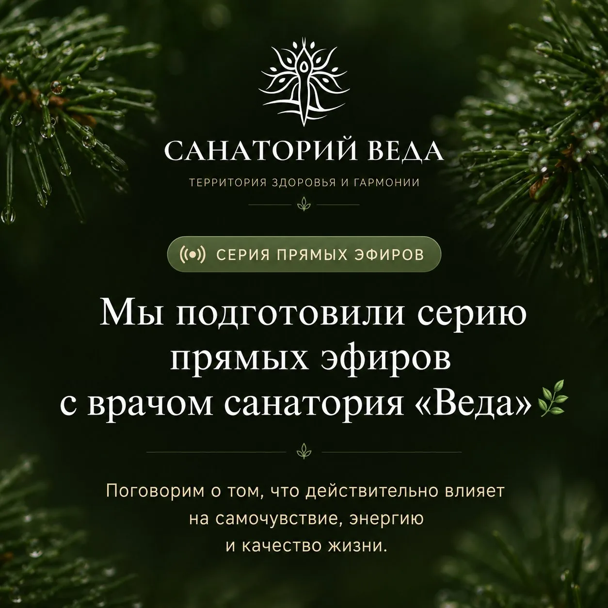 Мы подготовили серию прямых эфиров с врачом санатория «Веда» 🌿