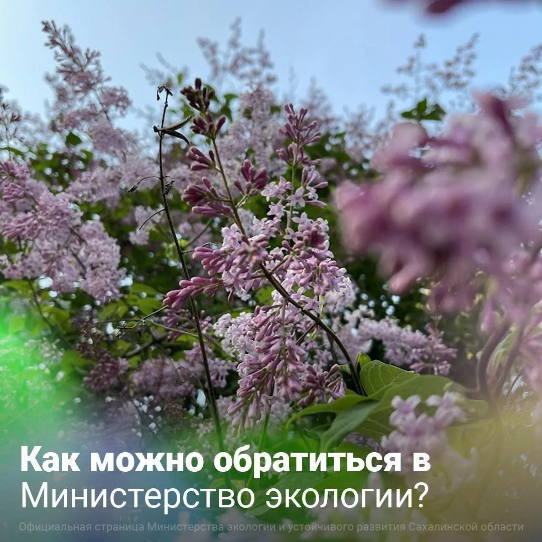Написать обращение в Минэкологии очень просто. Достаточно оставить комментарий под этой...