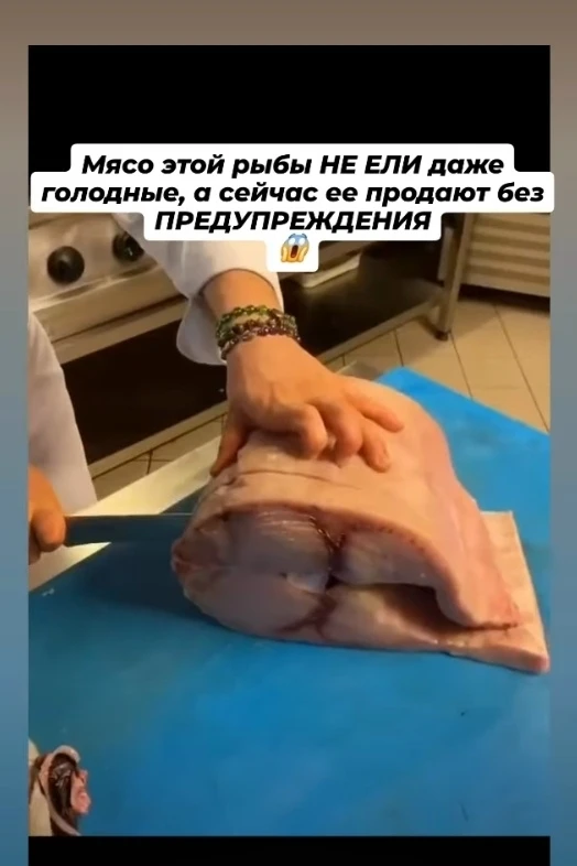 Эсколар, которого также называют масляной рыбой, живёт в океанских глубинах. Его ценят ...