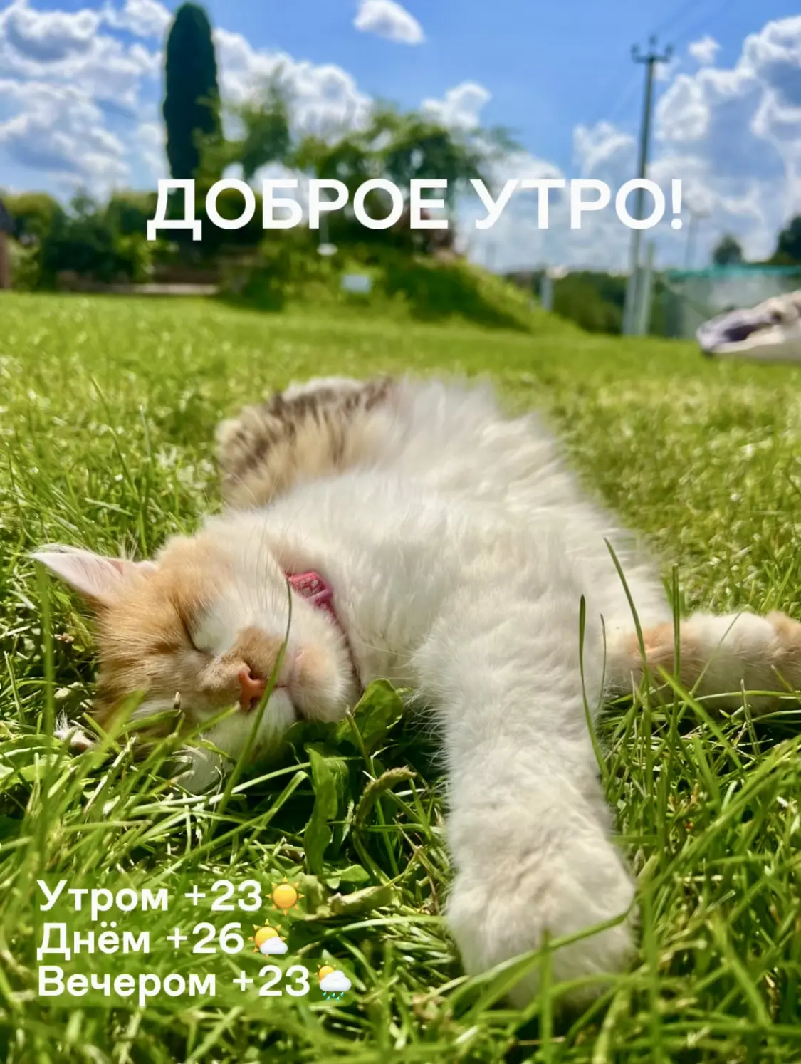 Доброе утро! Гидромет Шихово!