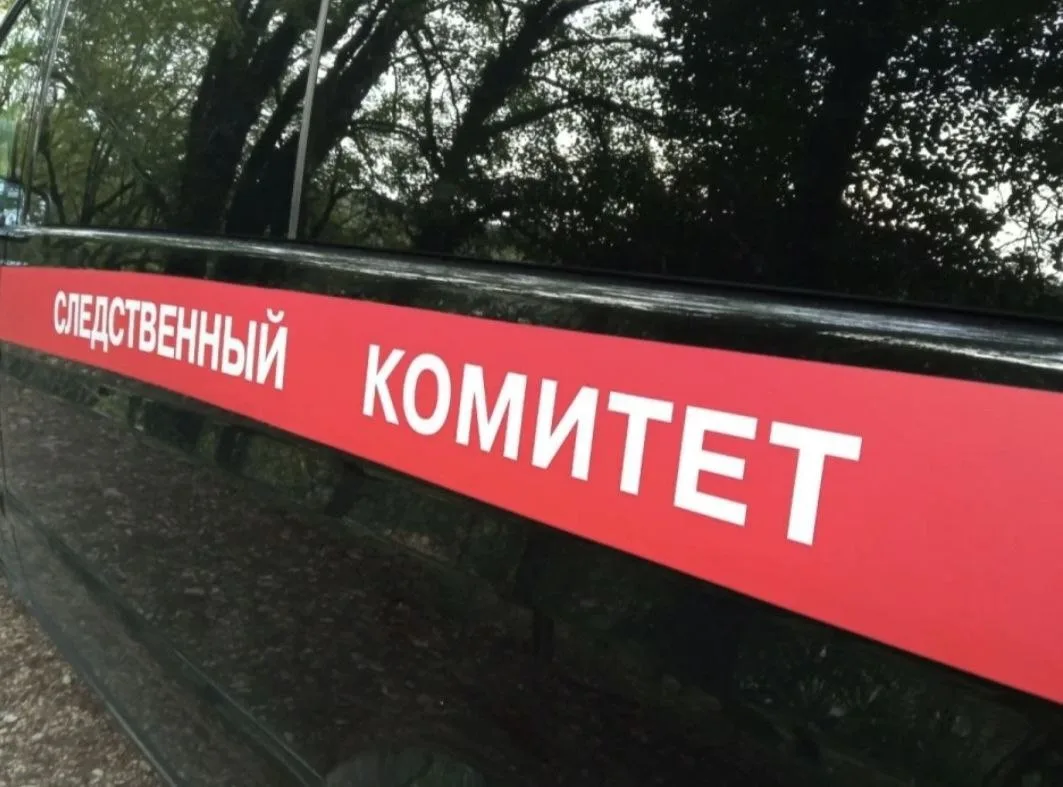 Следственный комитет хочет подключить ИИ к расследованию финансовых преступлений.