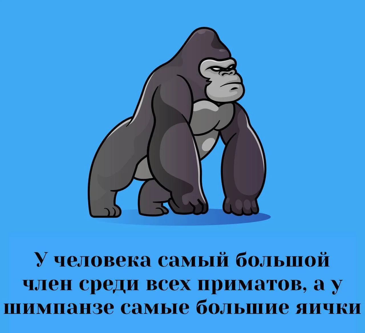 Сексология