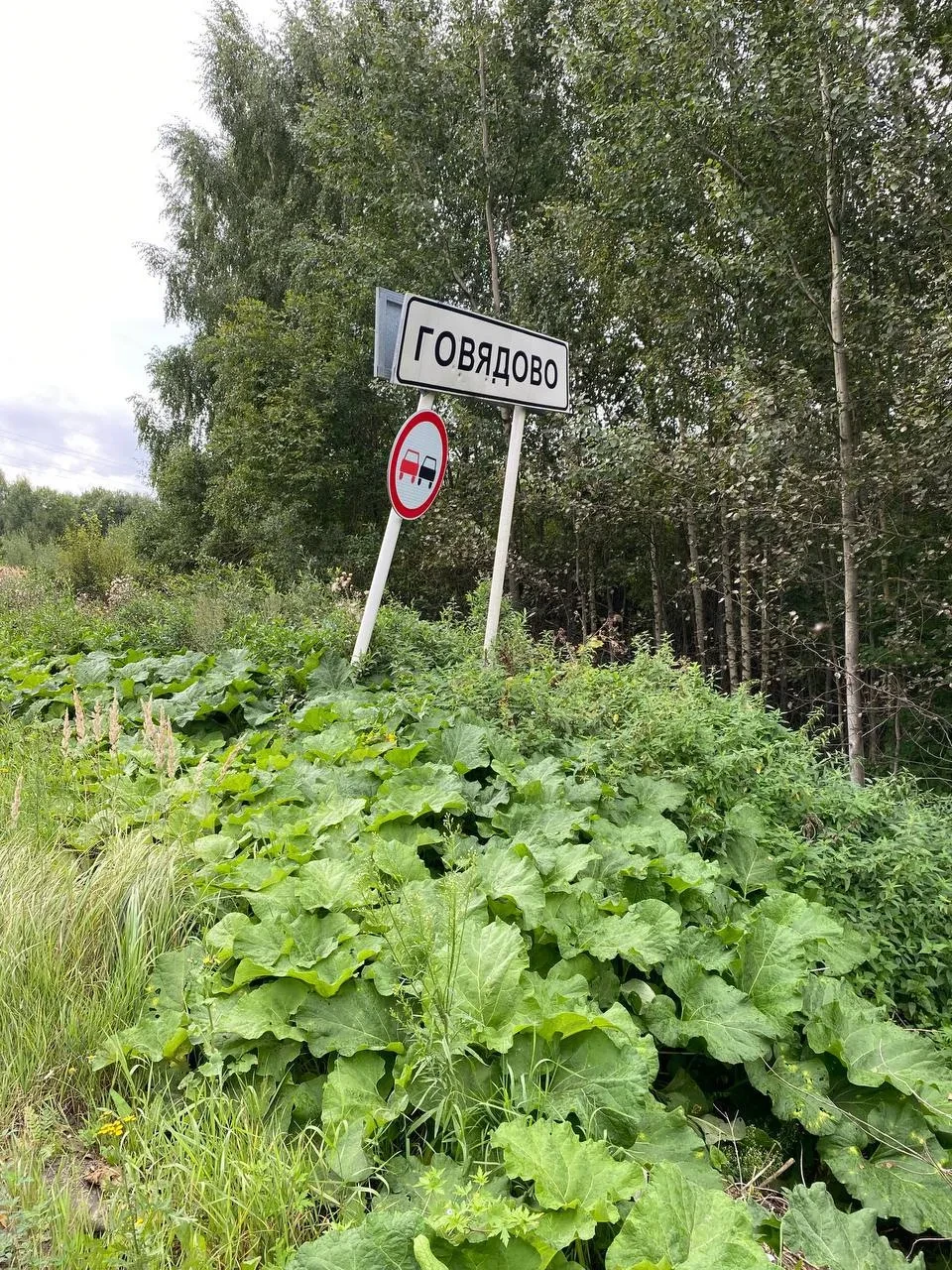 На трассе между коттеджным поселком Говядово и деревней Дьяково в Ивановской области уп...