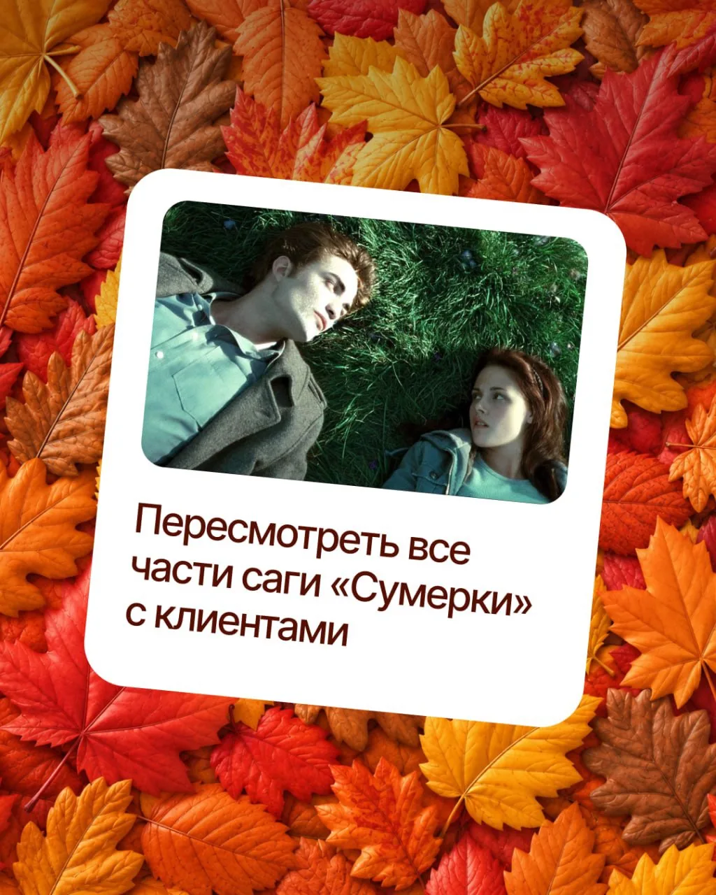 Объявляем старт хоа-хоа сезона 🍂