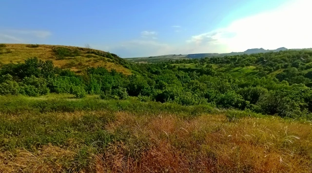 Очень запомнилась мне прошлогодняя вылазка в  окрестности Княгиневки.  Тогда я вышел на высокий левы
