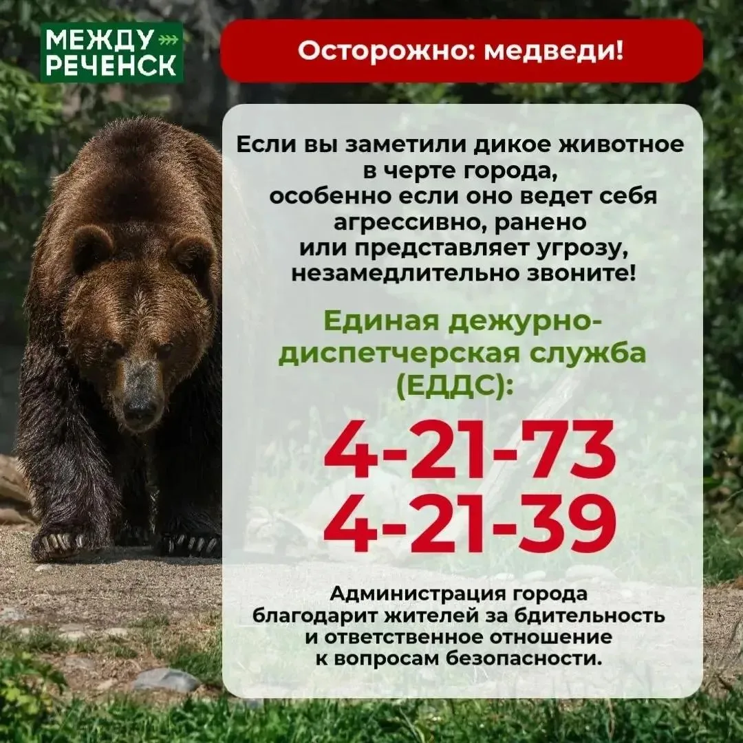 Дорогие междуреченцы!