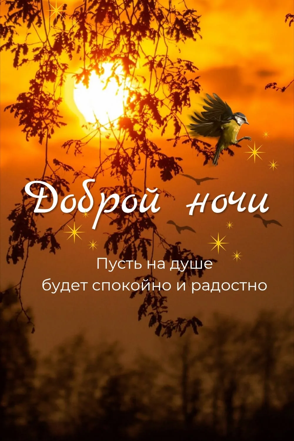 МОИ ОТКРЫТКИ 💌