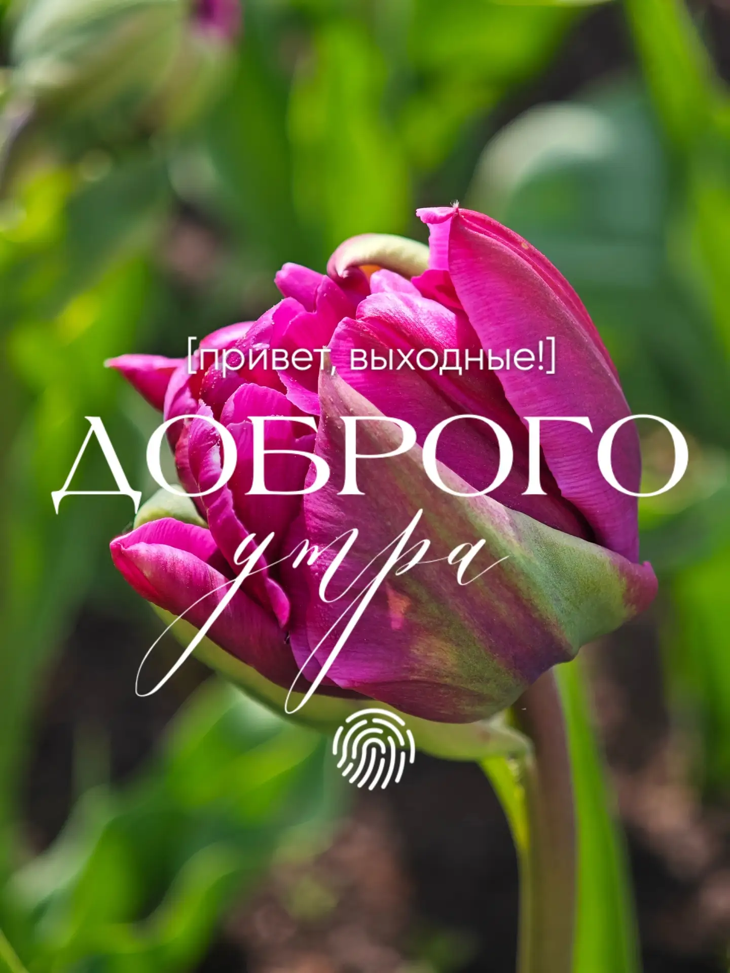 Доброе утро!💗