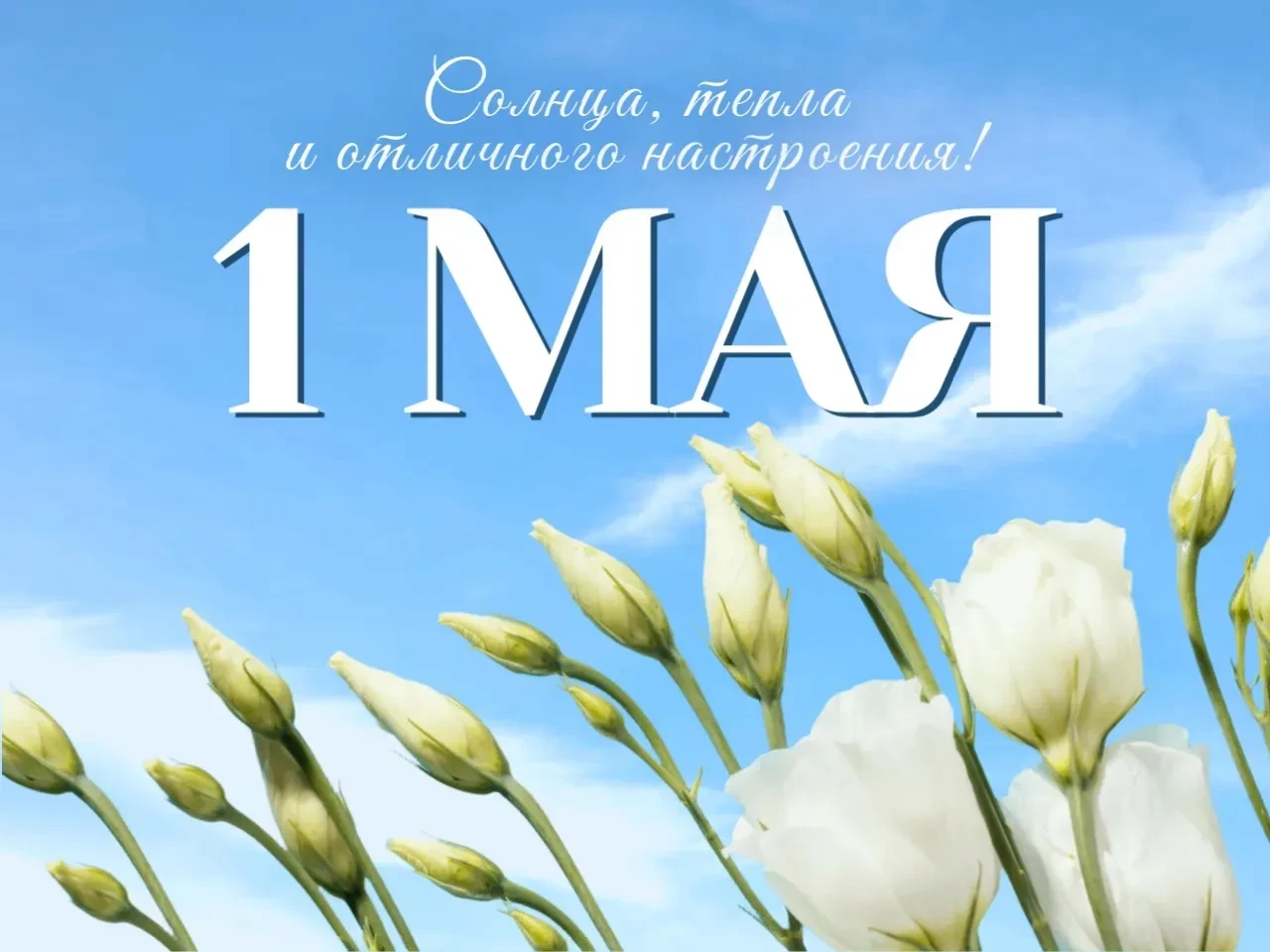 Поздравление начальника МКУ "Управление образование АМС Ирафского муниципального района"