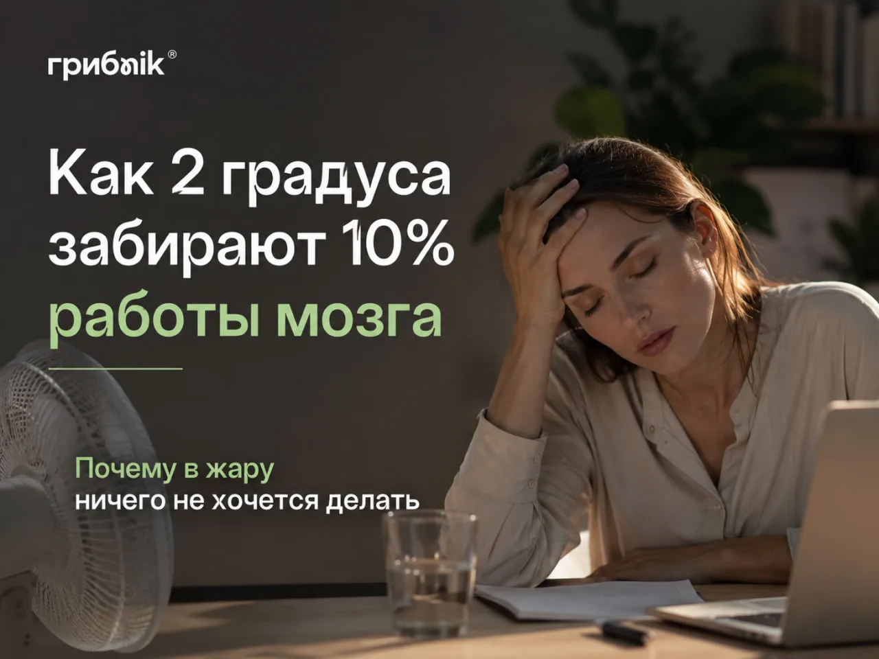 Почему при температуре выше +26°C хуже работает мозг

Когда за окном жара, мы часто списываем лень н