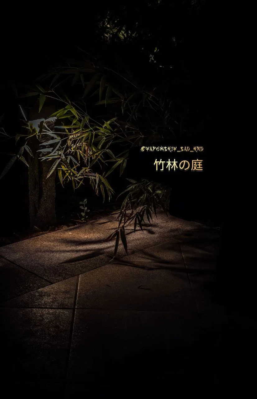 🎎🎋🎍竹林の庭🌙