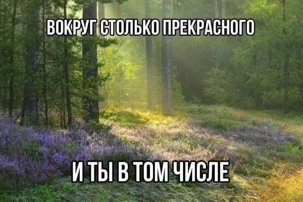 Я могу ошибаться, но я - не ошибка.