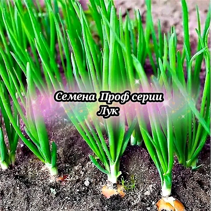 🎉Внимание новинки🎉