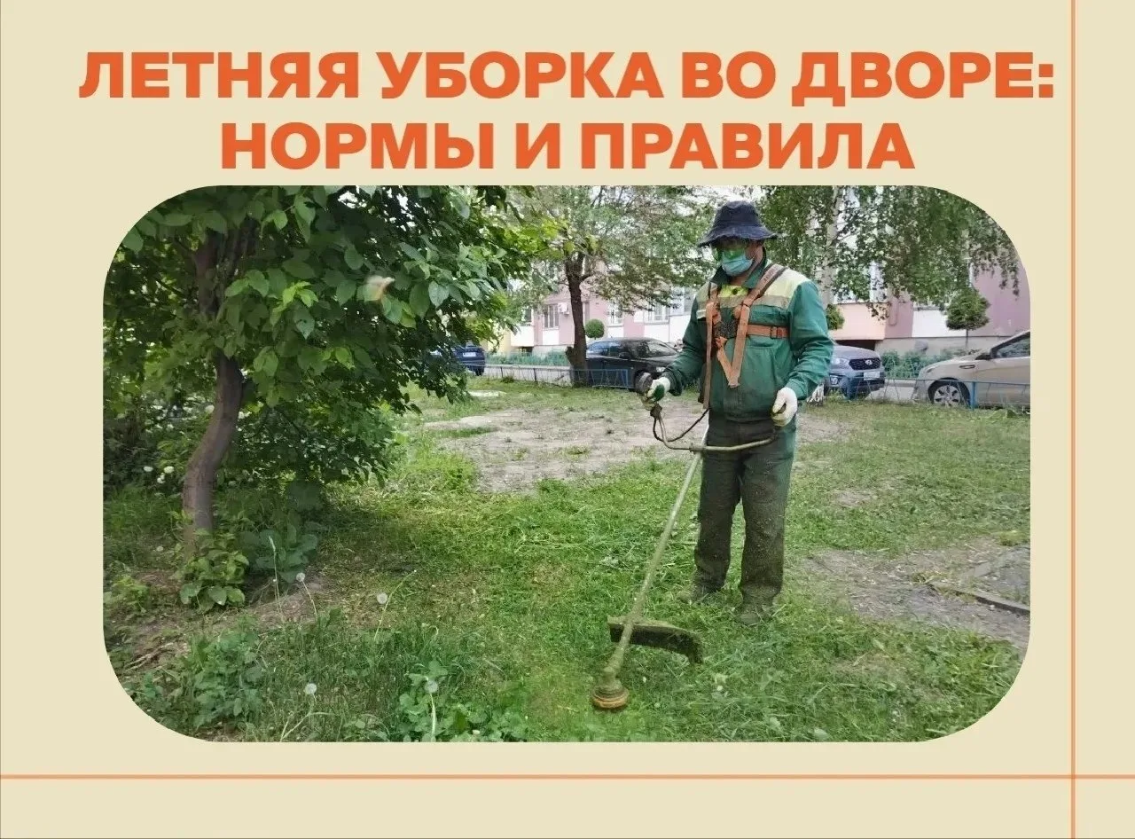 Придомовая территория – это часть общего имущества. За её чистотой обязаны следить управляющие орган