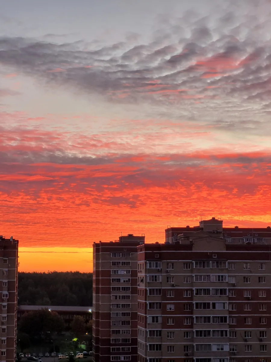 Сегодняшний шикарный рассвет 😍