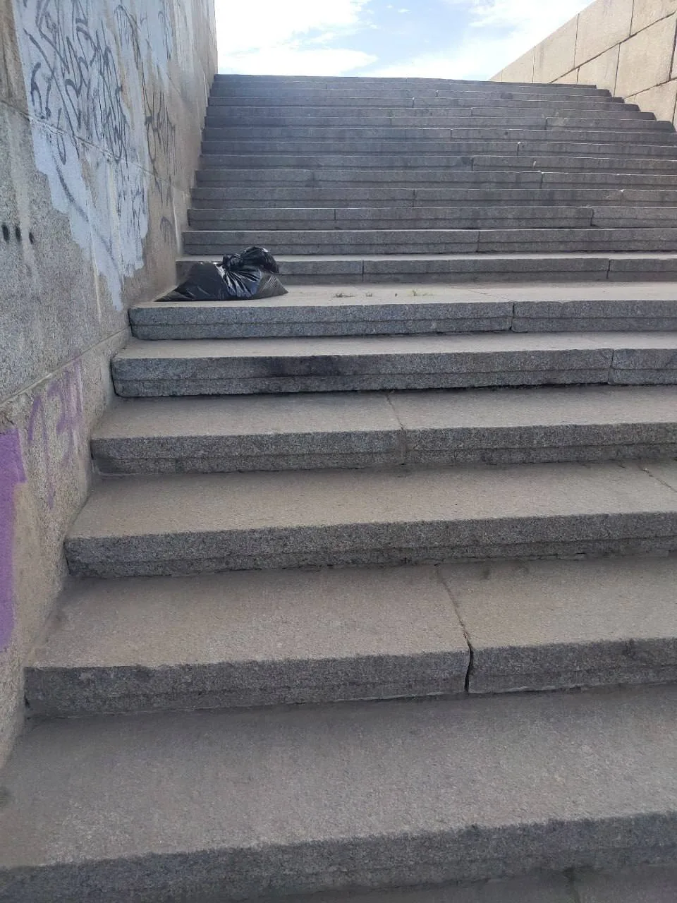 Двое жителей за пять часов очистили территорию у памятника Ленину