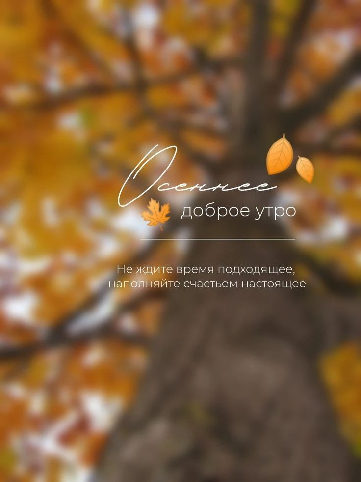 🗓ПРАЗДНИКИ