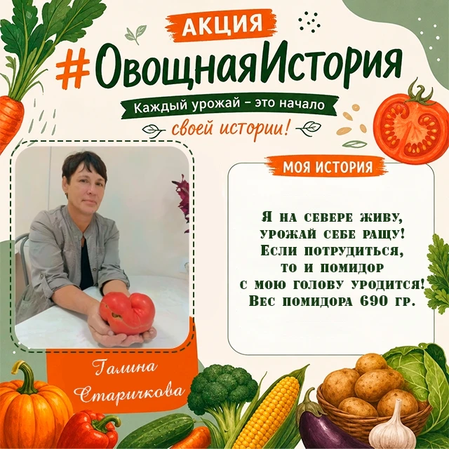 « Я на севере живу