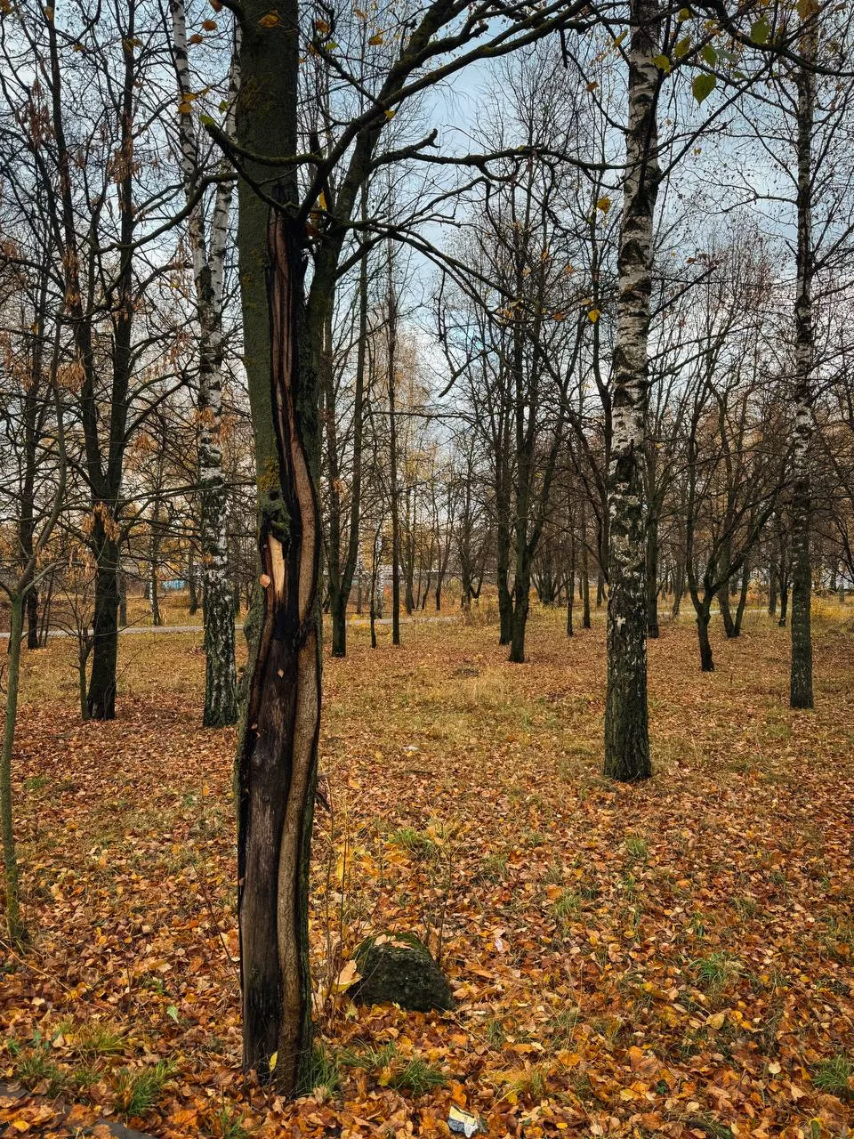 Доброе утро, ливенцы! ☀️