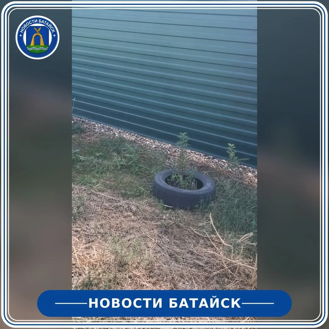 На ул. Максима Горького в центре Батайска заметили гору старых шин