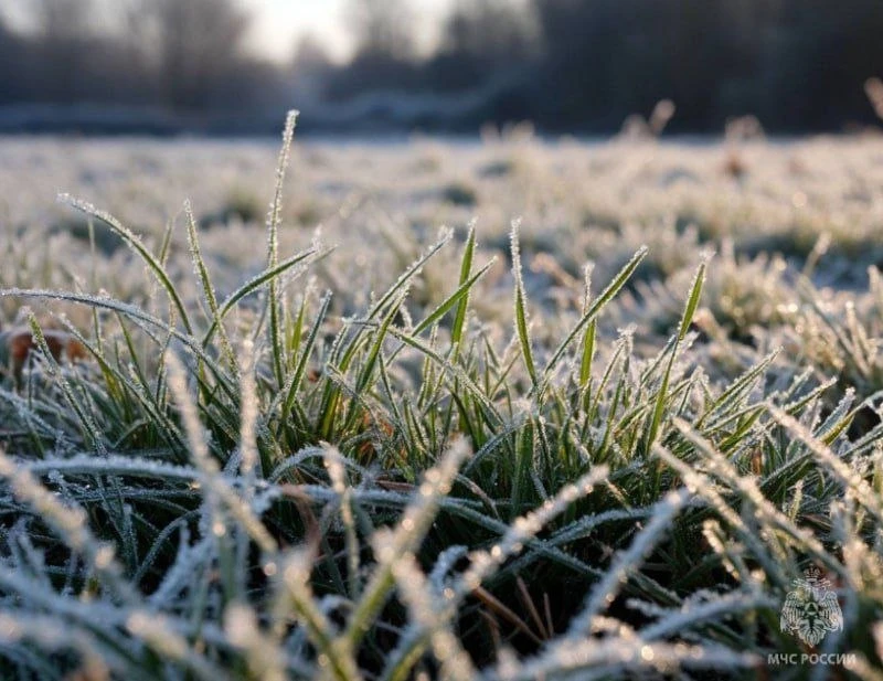 В Тамбовской области ночью ожидаются заморозки до −3 °C. По данным МЧС, температура воз...