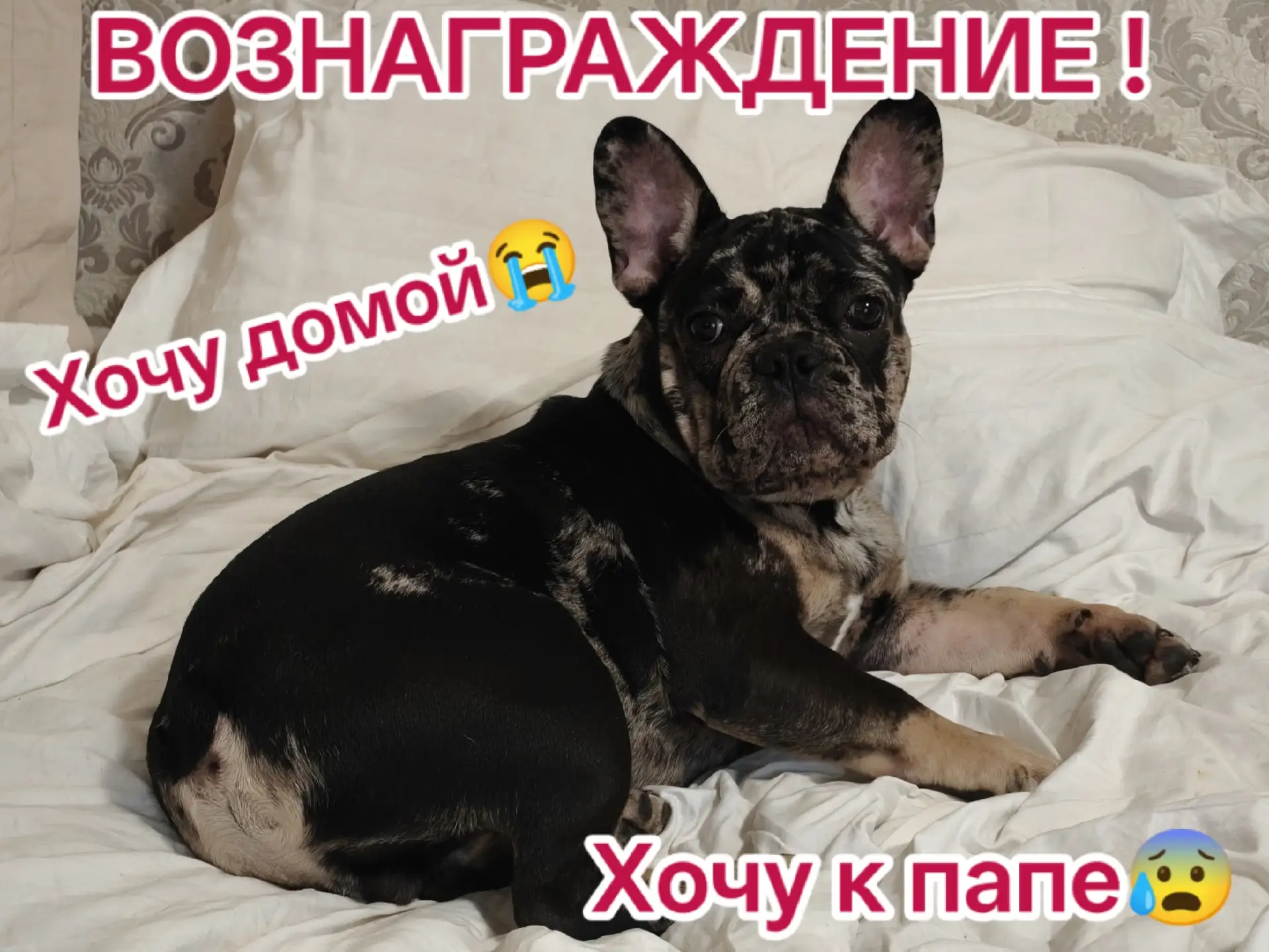 Друзья, будьте неравнодушны!