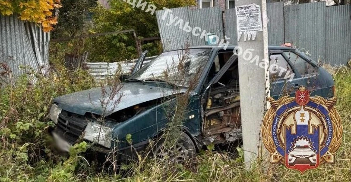 В Донском женщина врезалась в столб линии электропередач