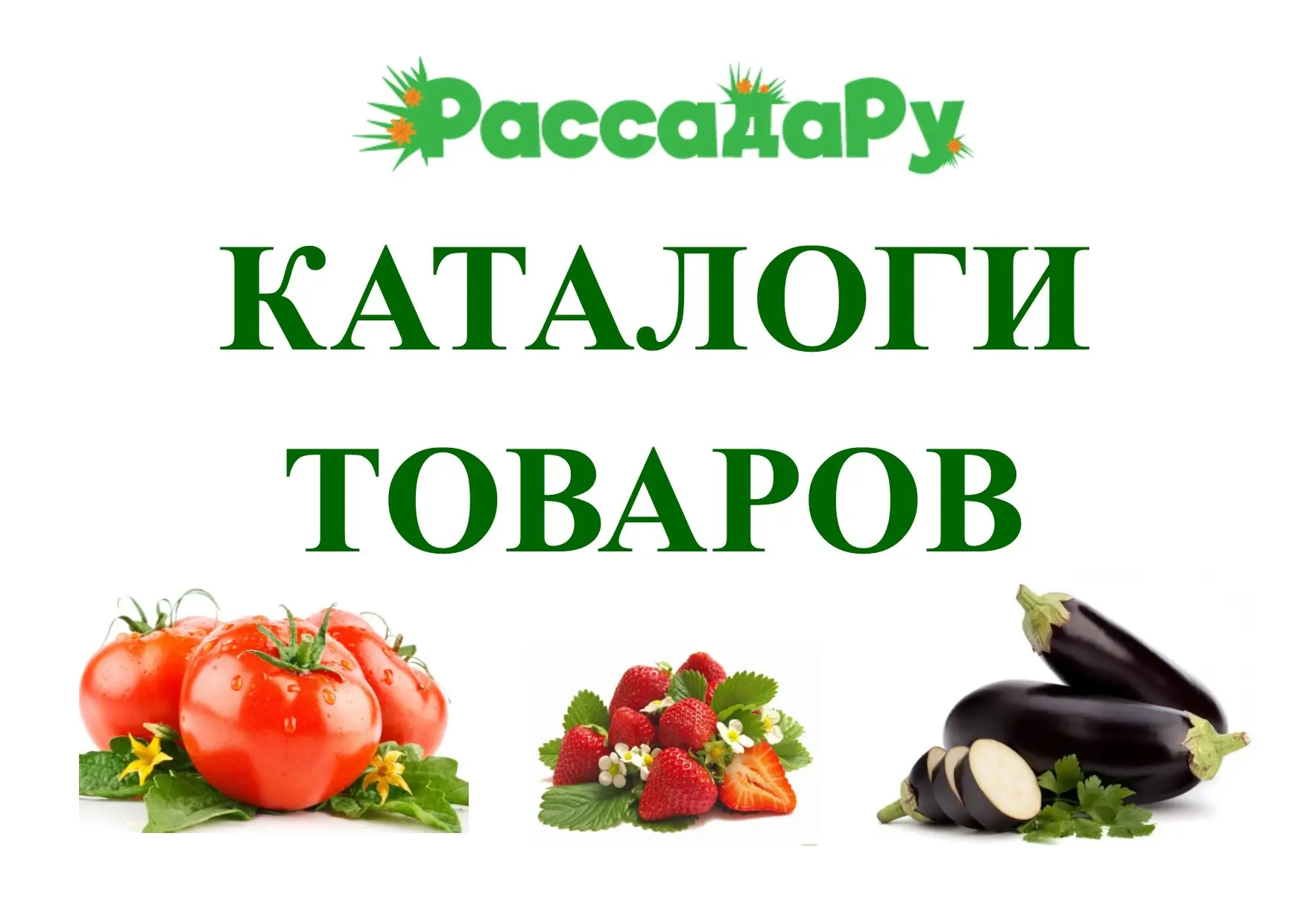 ССЫЛКА НА КАТАЛОГИ: