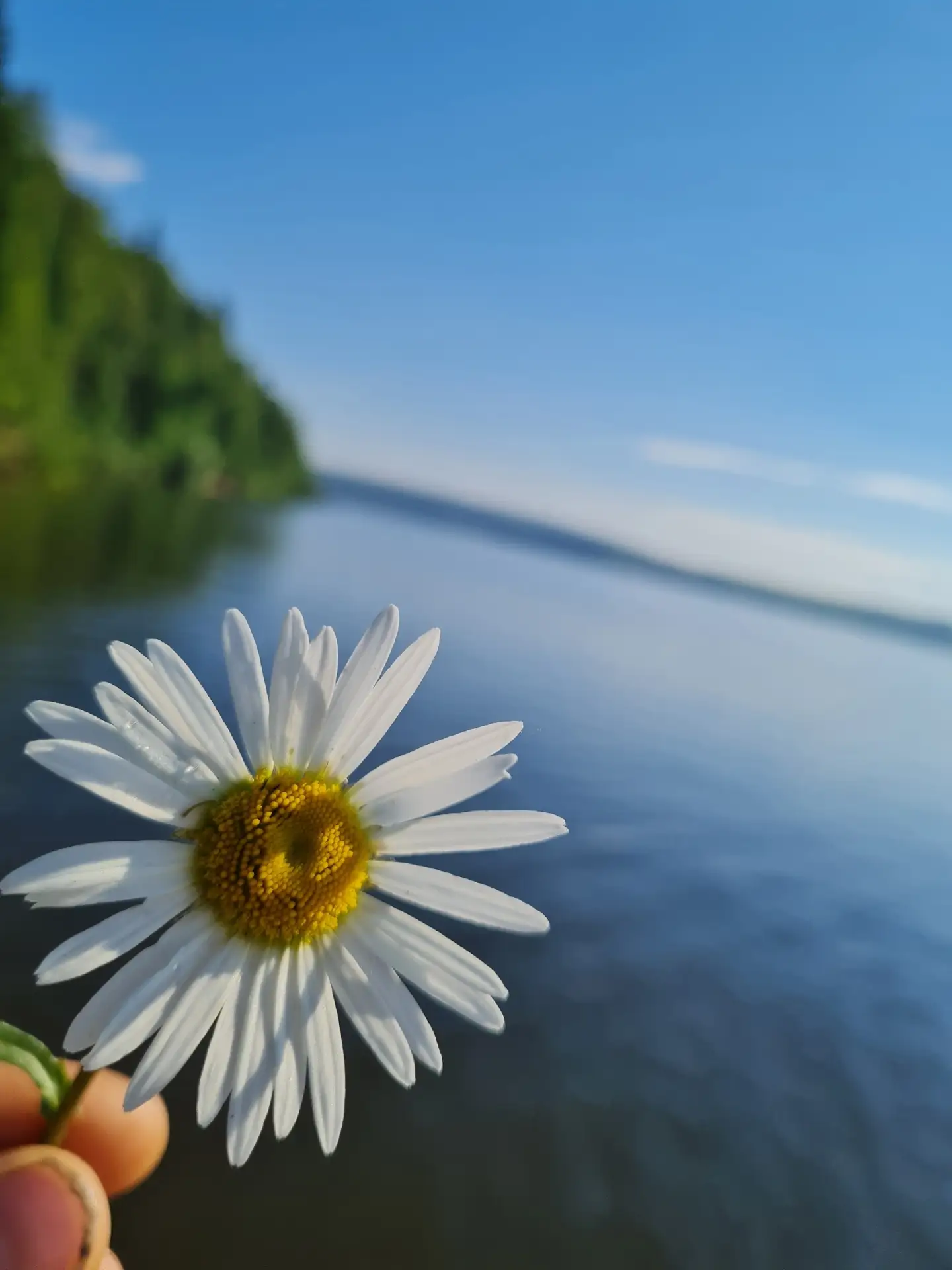 Сылвушка, какая же ты красивая! 🌅😍 🍓

Закаты, ромашки, люпиновые поля, первые ягоды земляники и р
