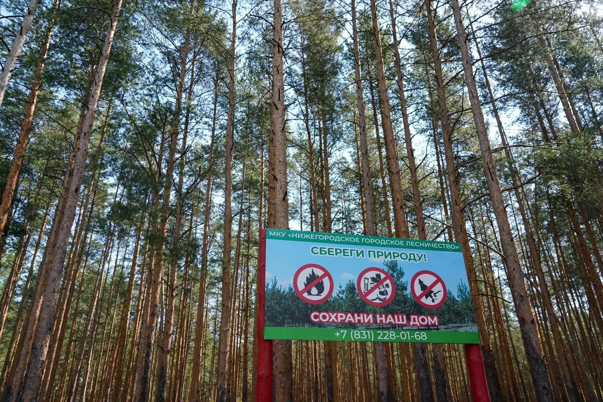 Нижегородские лесничие не допустили ни одного пожара на территории городских лесов 💪🏻